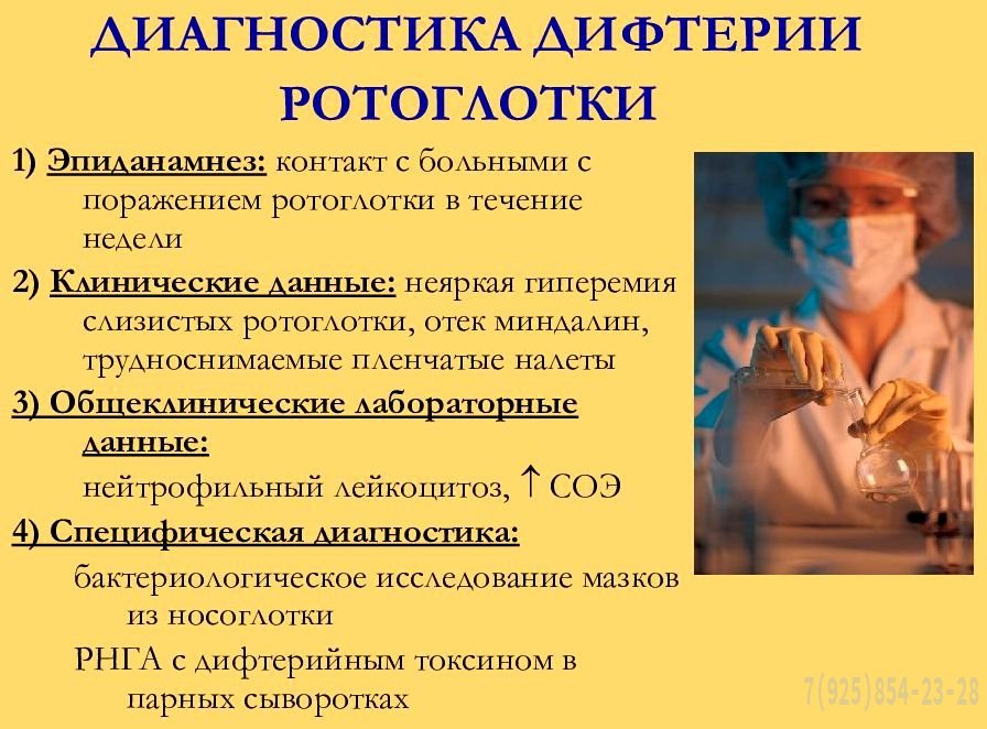 Профилактика дифтерии Профилактика дифтерии